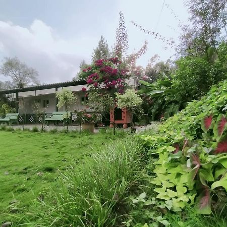 Silvershine Homestay Chikmagalūr Dış mekan fotoğraf