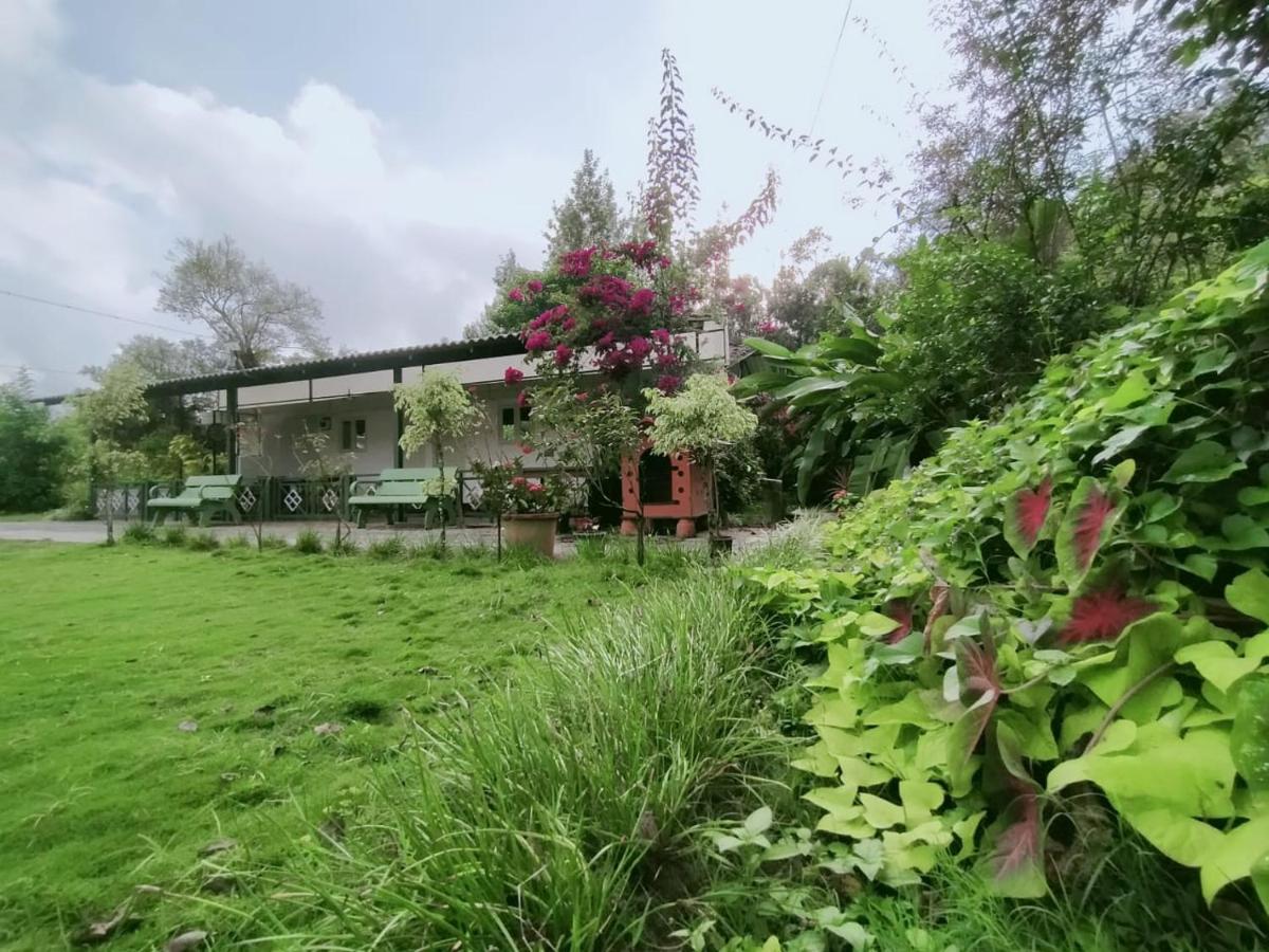 Silvershine Homestay Chikmagalūr Dış mekan fotoğraf