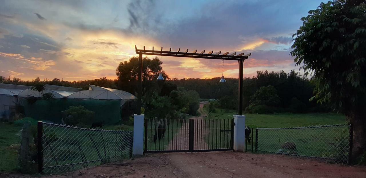 Silvershine Homestay Chikmagalūr Dış mekan fotoğraf